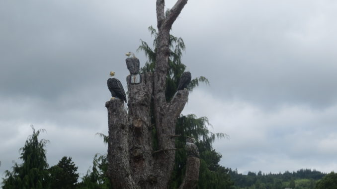 Eagles and owls carved into a dead tree