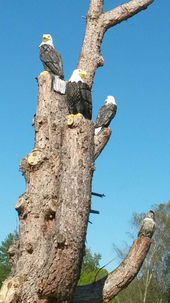 eagles carved into a tree